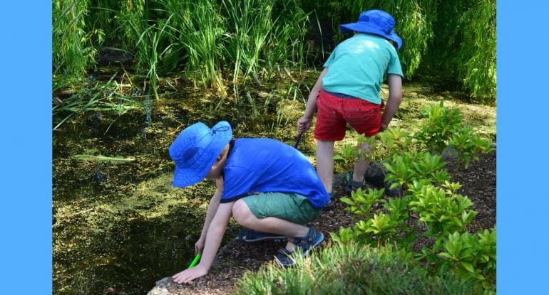 Children wearing shorts, t-shirts and blue hats, playing in a pond