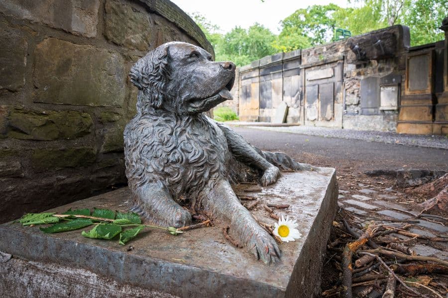 Side angle of the statue of 'Bum' the three-legged dog