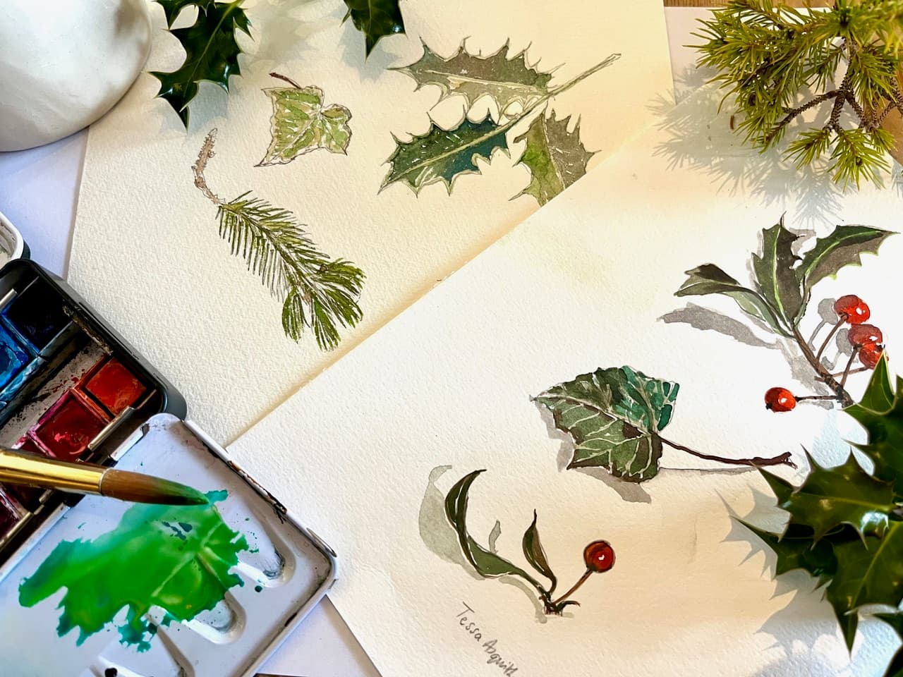 Watercolours of plants in a sketch book
