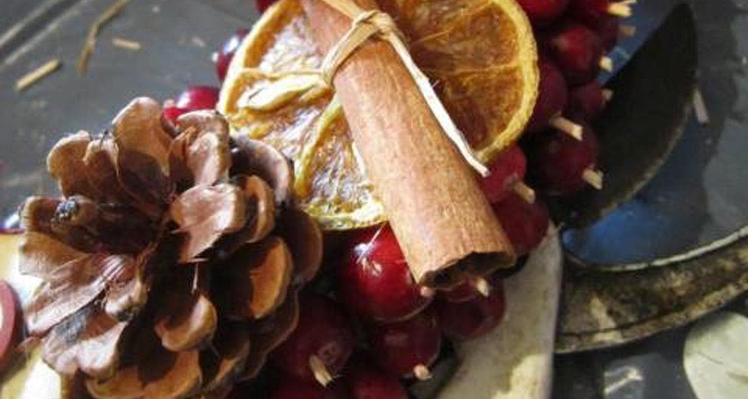 Cinnamon stick, pine cone, orange slice and red berries 