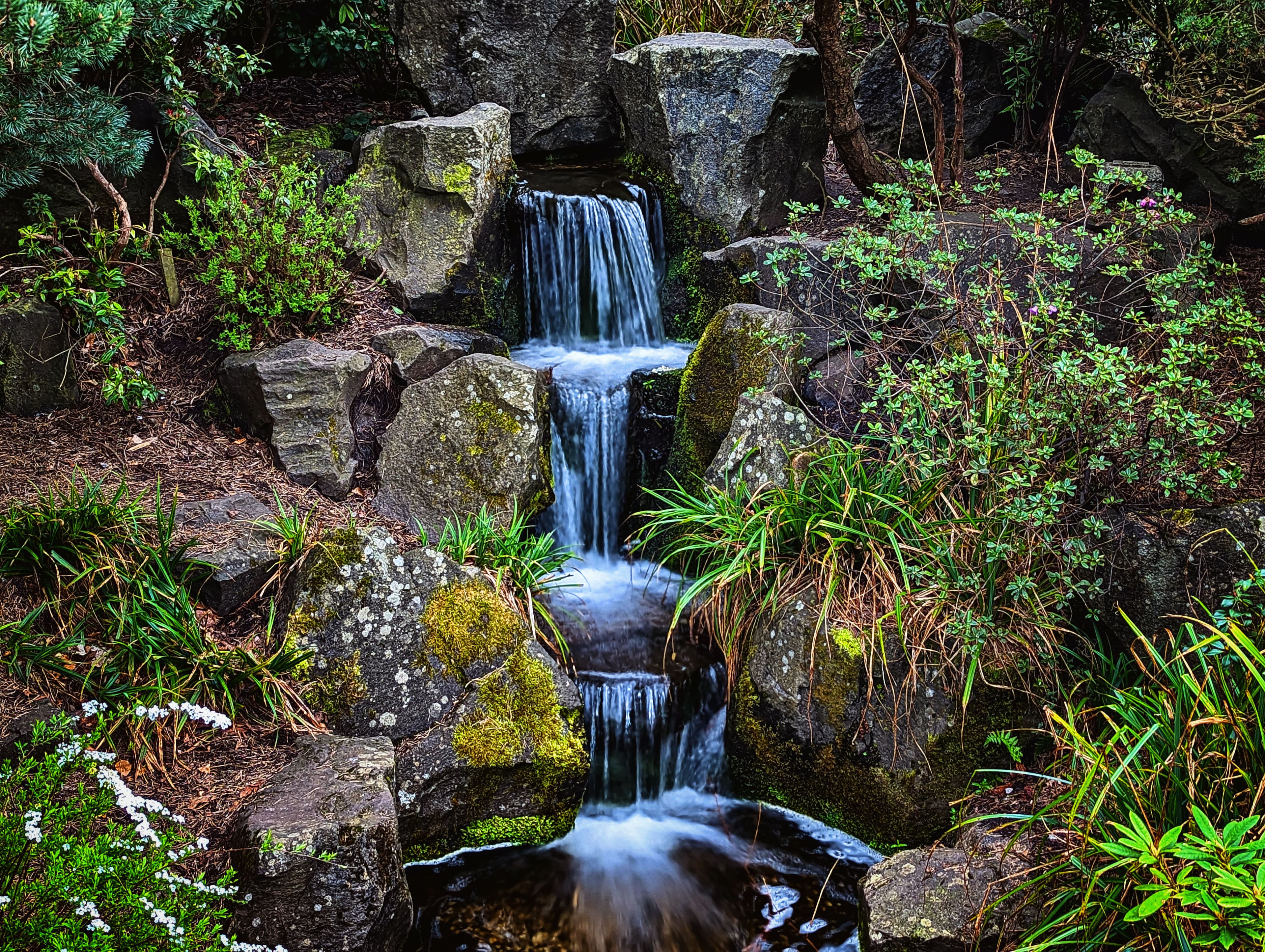 A waterfall cascading through a lush garden, surrounded by greenery.