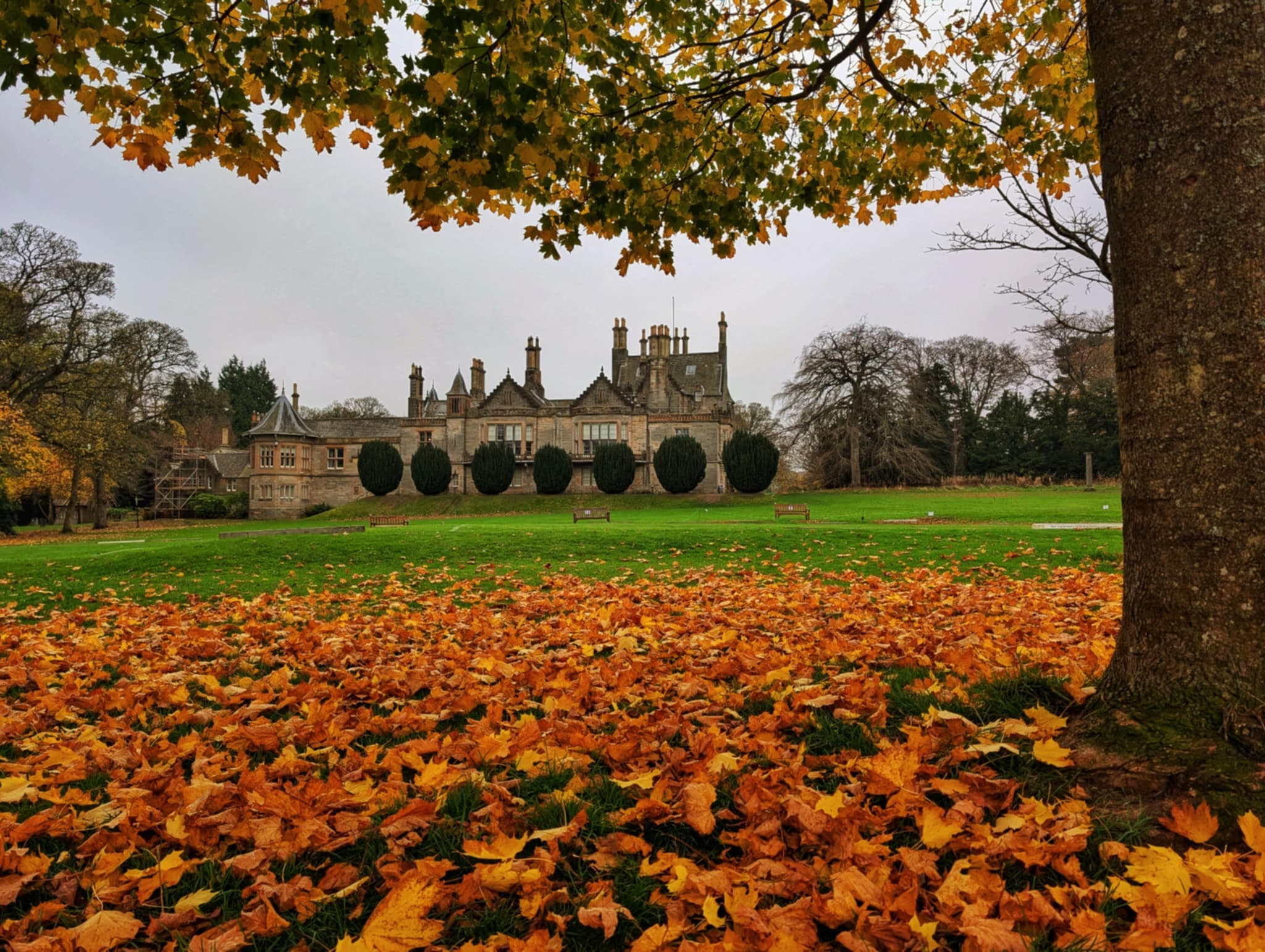 Lauriston Castle surrounded by a spacious lawn, tall autumnal trees and a carpet of fallen orange leaves covering the ground.