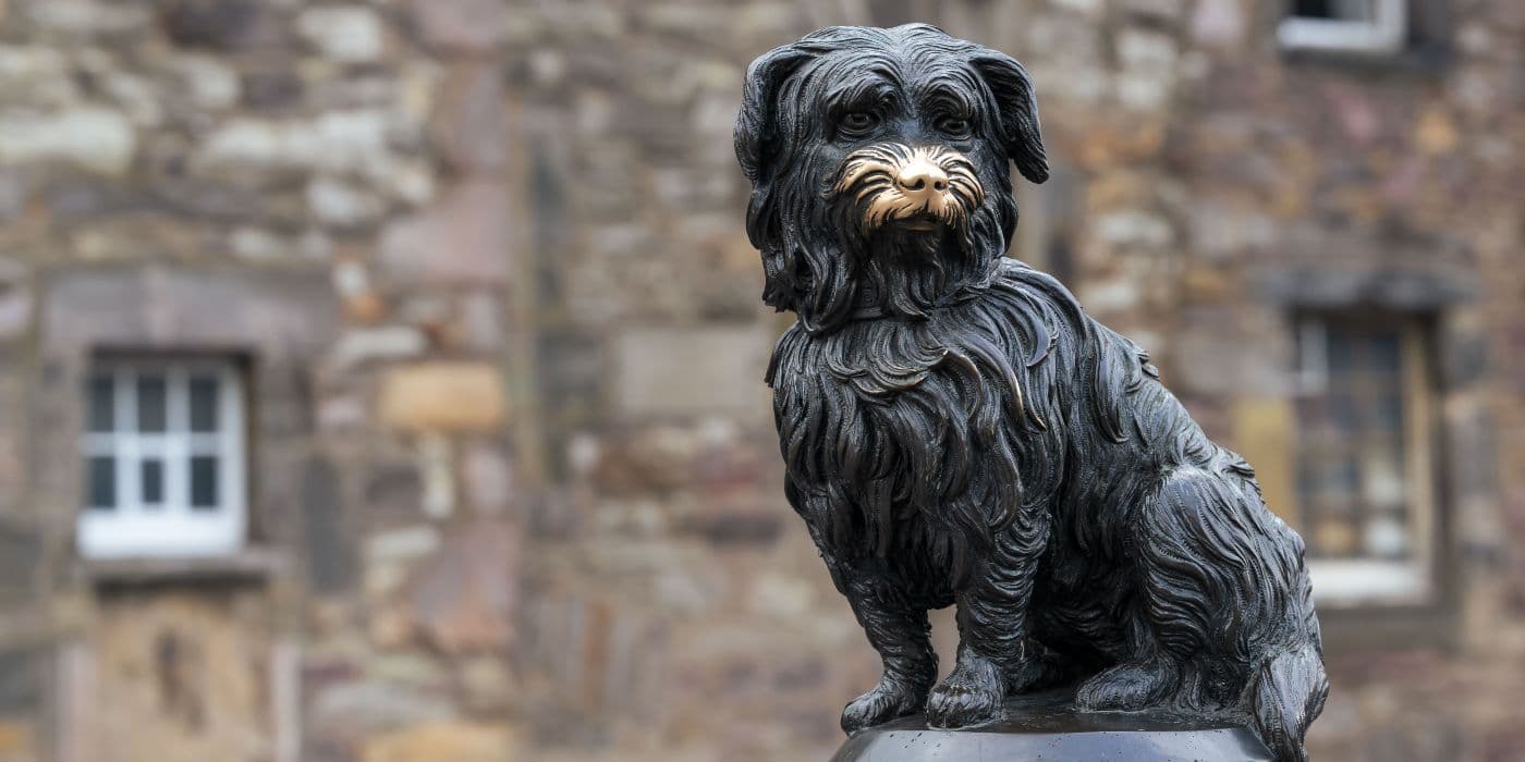 Landscape image of a black Skye terrier statue with a golden nose