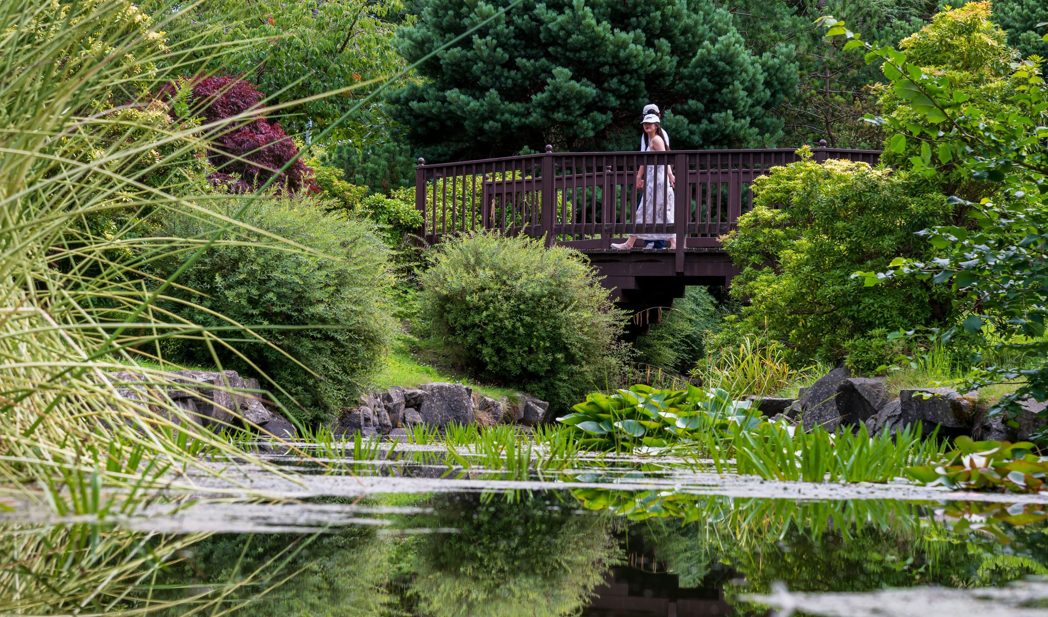 Couple walking across a bridge at Lauriston Castle