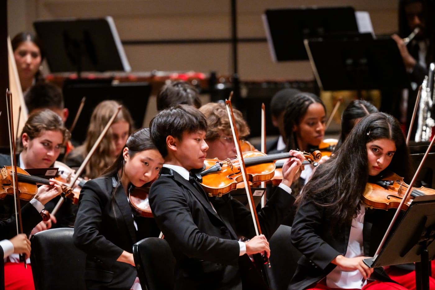 69c44403704ff5c8b191c987