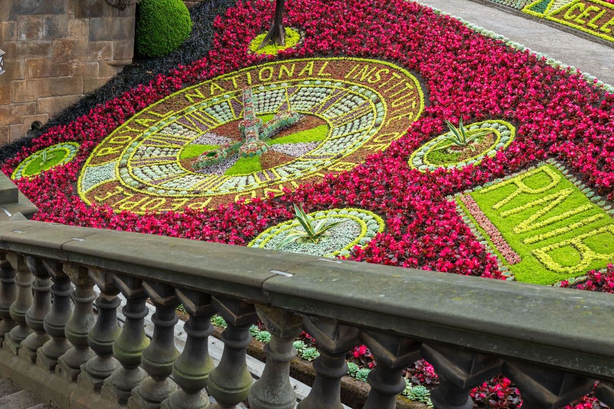 Floral clock display showing mainly red and green flowers