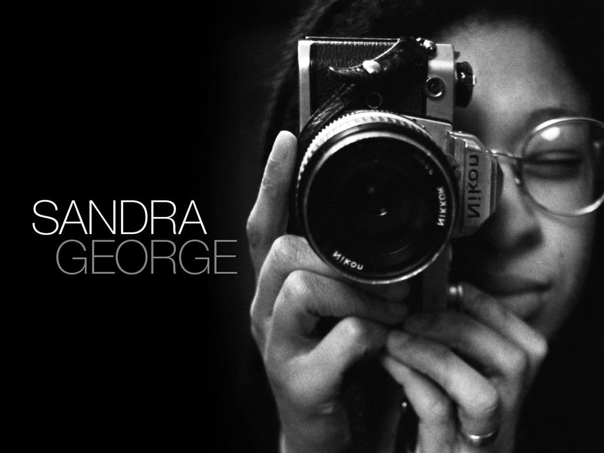 Sandra George exhibition main artwork