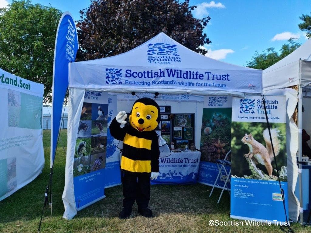 Person in a bee costume, infront of an information stand