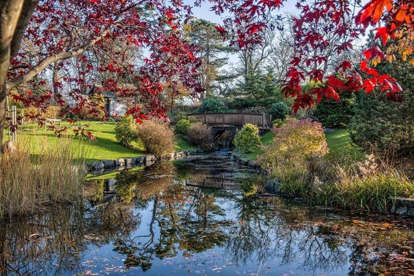 Pond in Lauriston Castle grounds in early Autumn