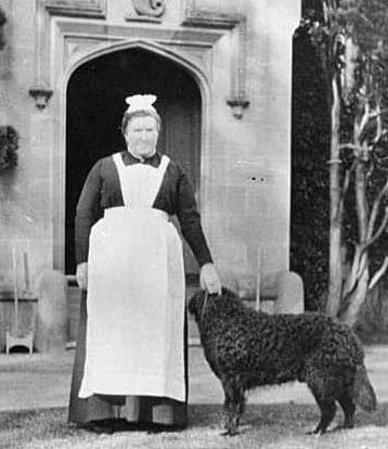 Vintage photo of sevrant standing the in the ground of Lauriston Castle with a large black dog