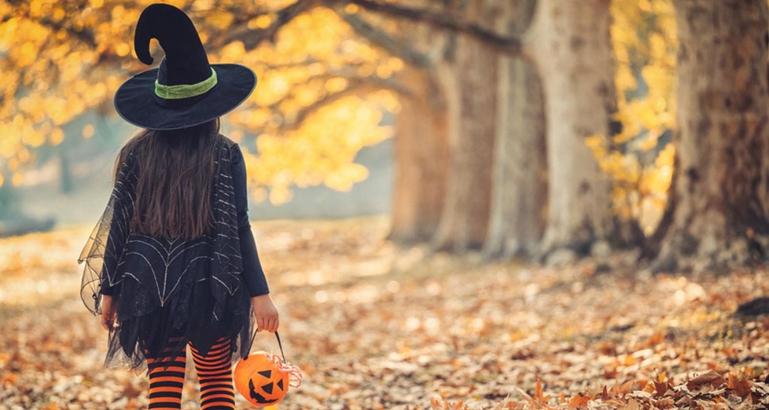 A young girl dressed as a witch carries a pumpkin and strolls through a forest