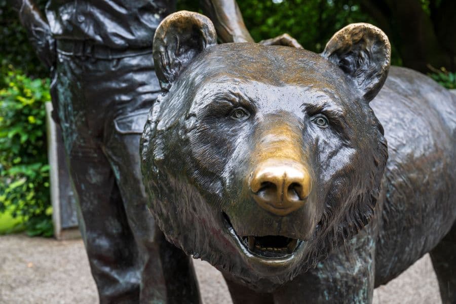 Statue of a happy looking brown bear called Wojtek