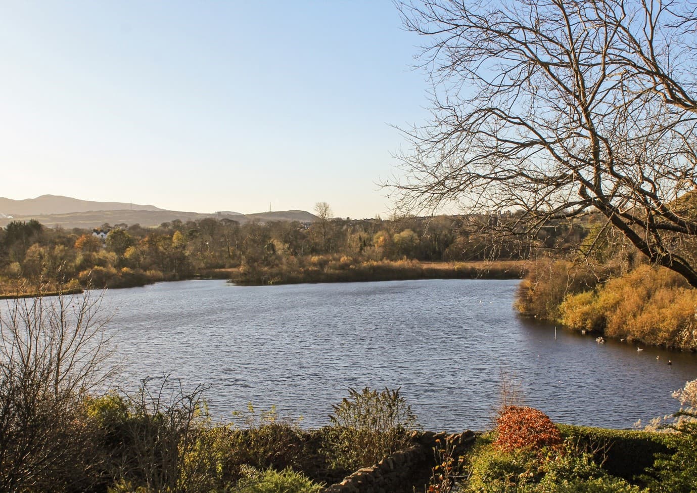 A tranquil lake bordered by trees and greenery under a clear blue sky