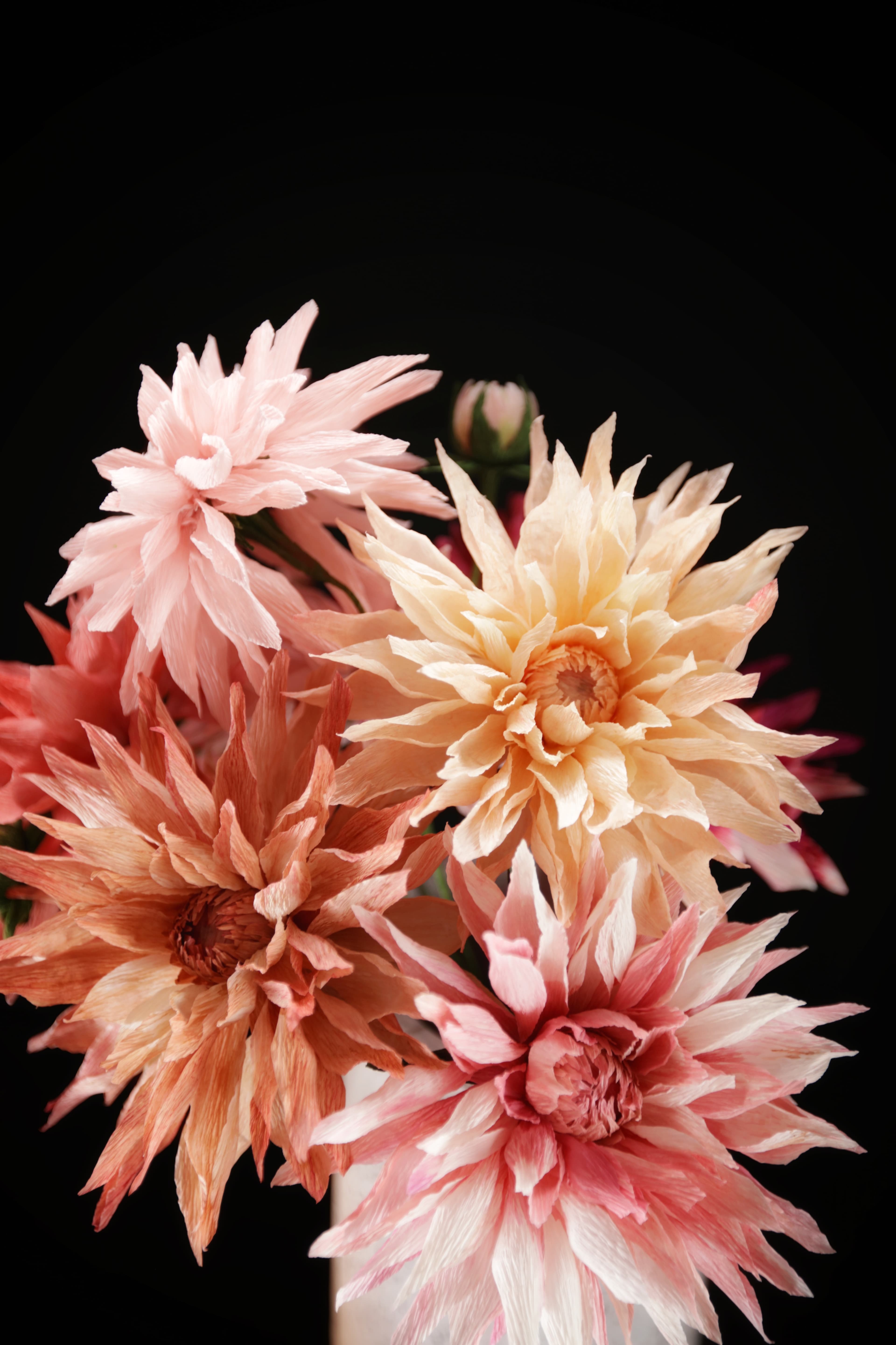 Pastel coloured dahlias made our of crepe paper