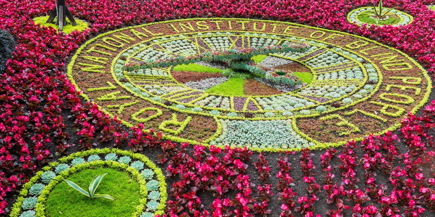 Floral clock display showing mainly red and green flowers