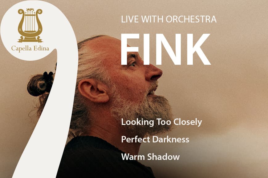 Fink